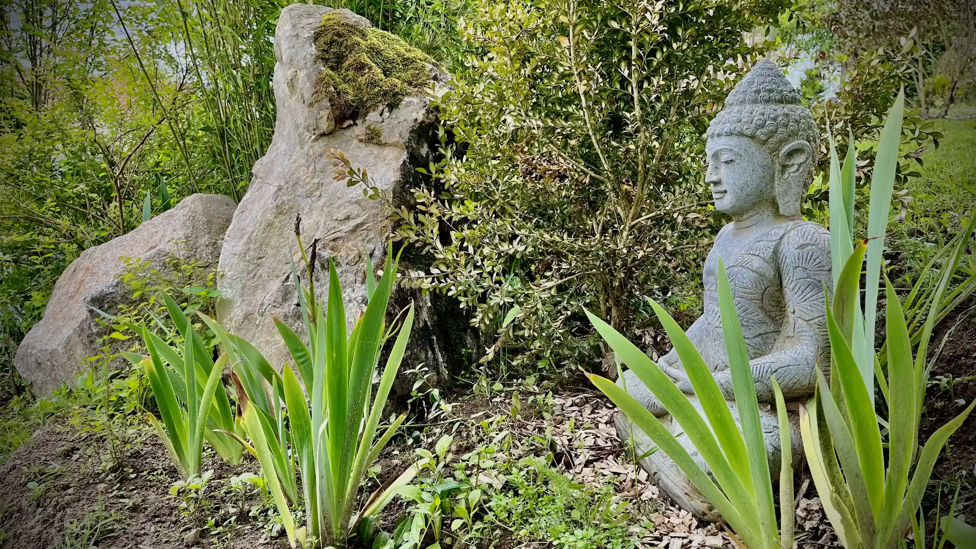 Paysage de nature avec une statue de Bouddha au premier plan